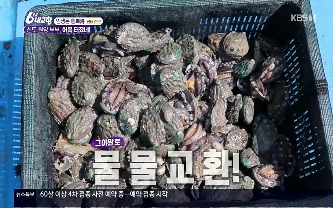 6시 내고향.E7518.220426p.H264-F1RST.mp4_20220504_192459.373.jpg