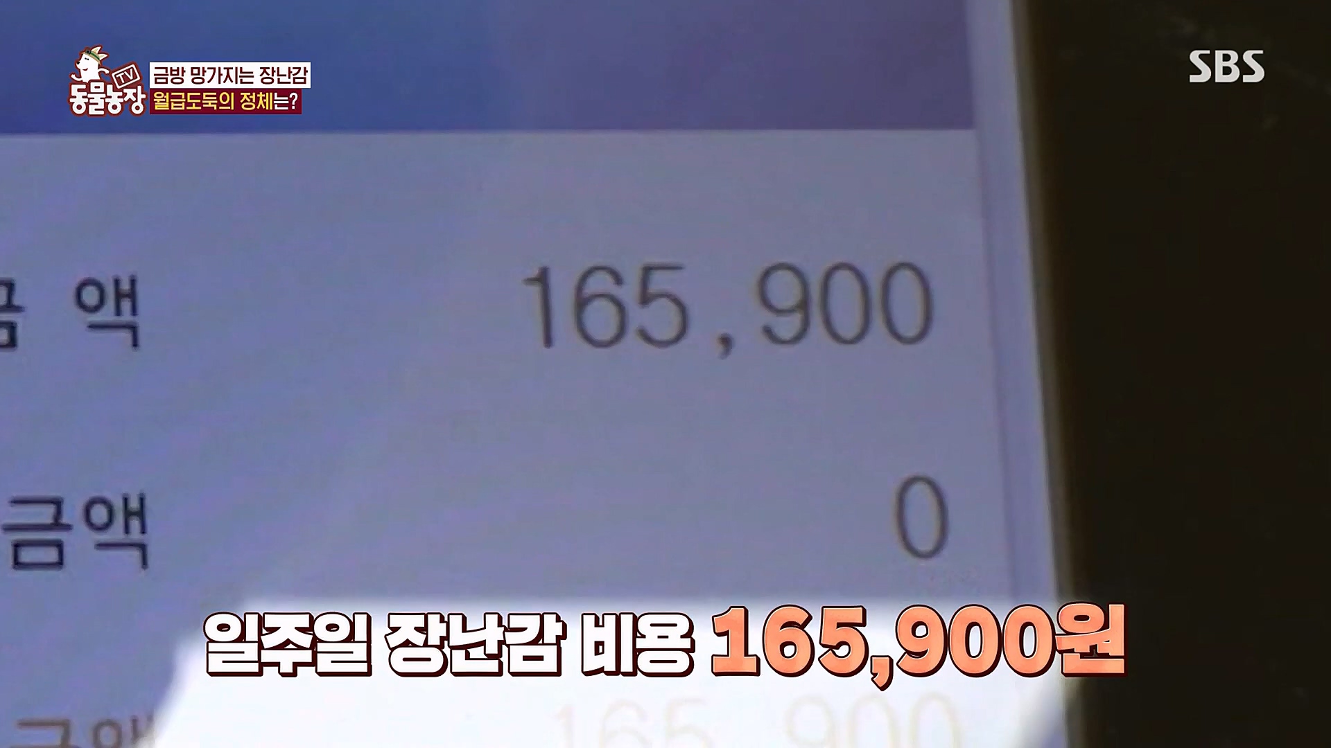TV 동물농장.E1106.230129p.H264-F1RST.mp4_20230130_192724.603.jpg