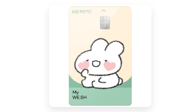  KB 국민 My WE:SH 카드 kt 인터넷 할인 카드