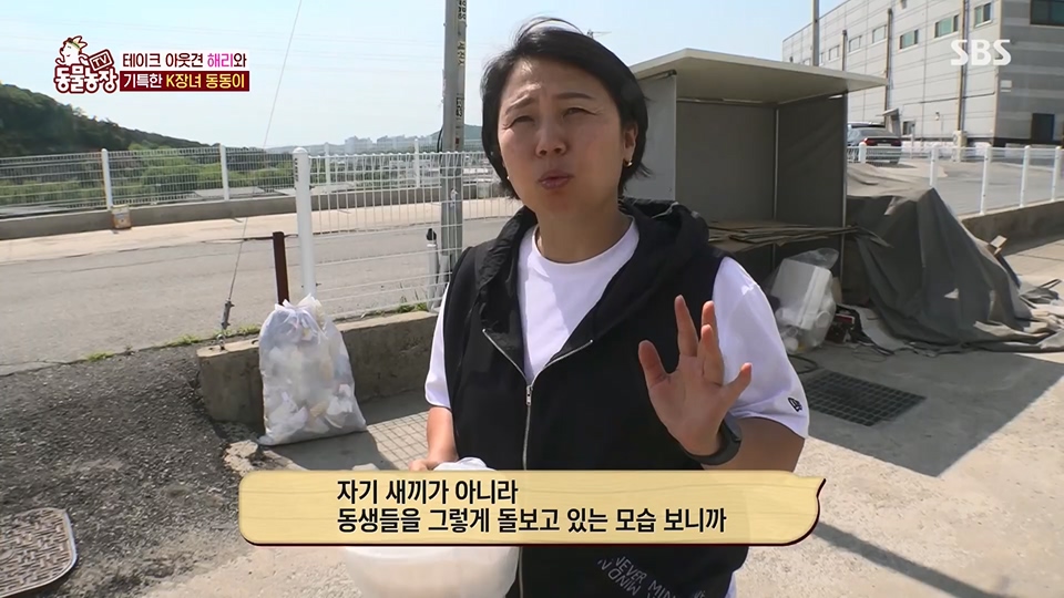 TV 동물농장.E1124.230611p.H264-F1RST.mp4_20230611_173536.668.jpg