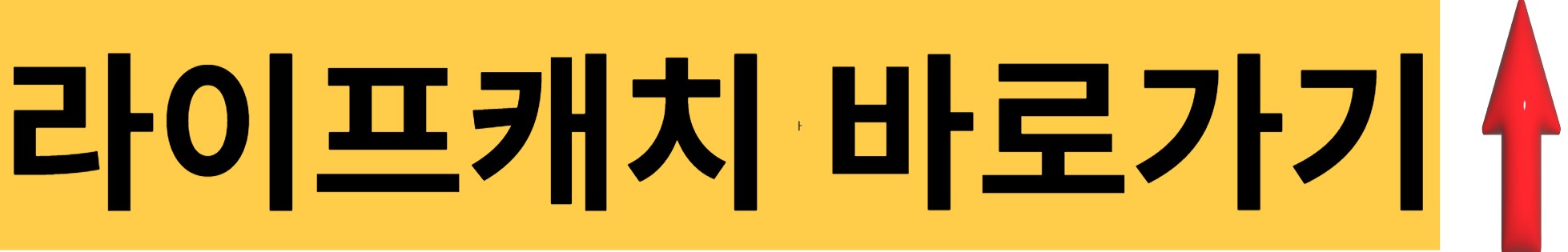 라이프캐치-바로가기