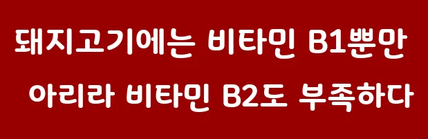 돼지고기에는 비타민 B1뿐만 아리라 비타민 B2도 부족하다