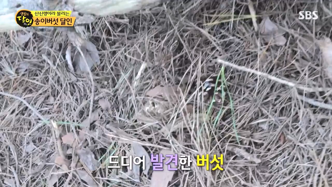 생활의 달인.E907.231010p-NEXT.mp4_20231010_203833.235.jpg