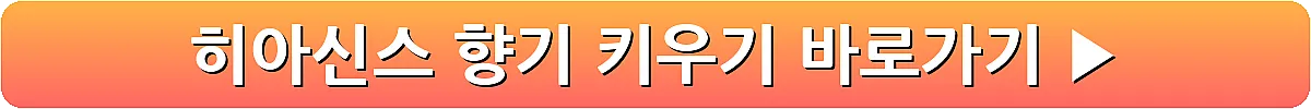 히아신스 향기 키우기_6