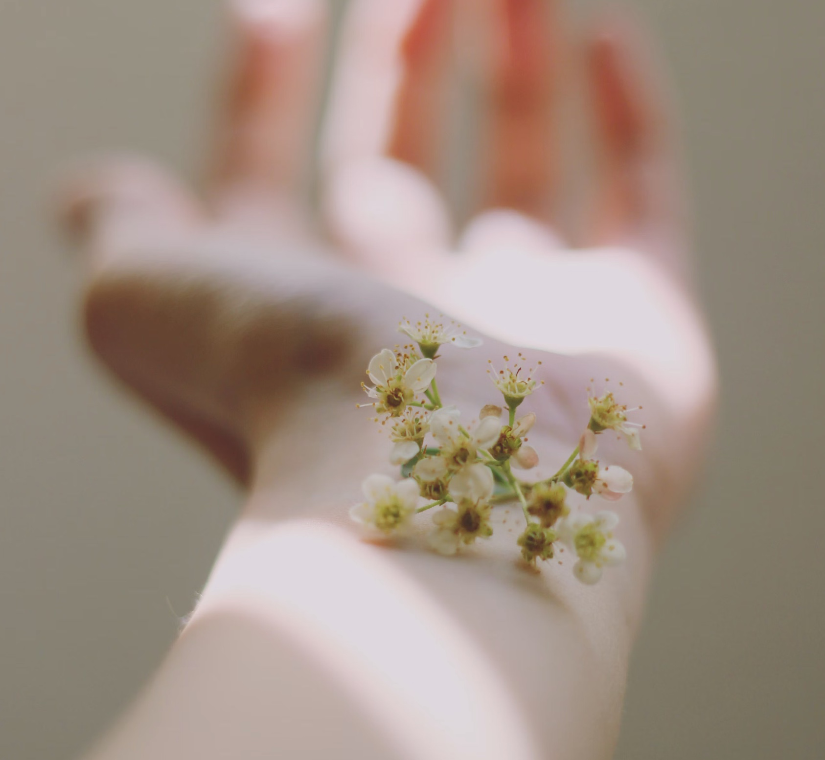 바세린 효과