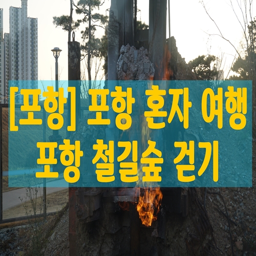  [포항] 포항 혼자 여행 포항 철길숲 걷기