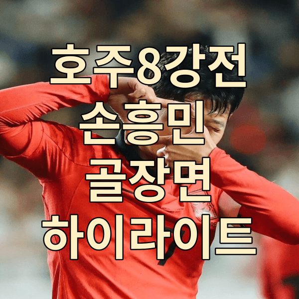 대한민국 호주 하이라이트
