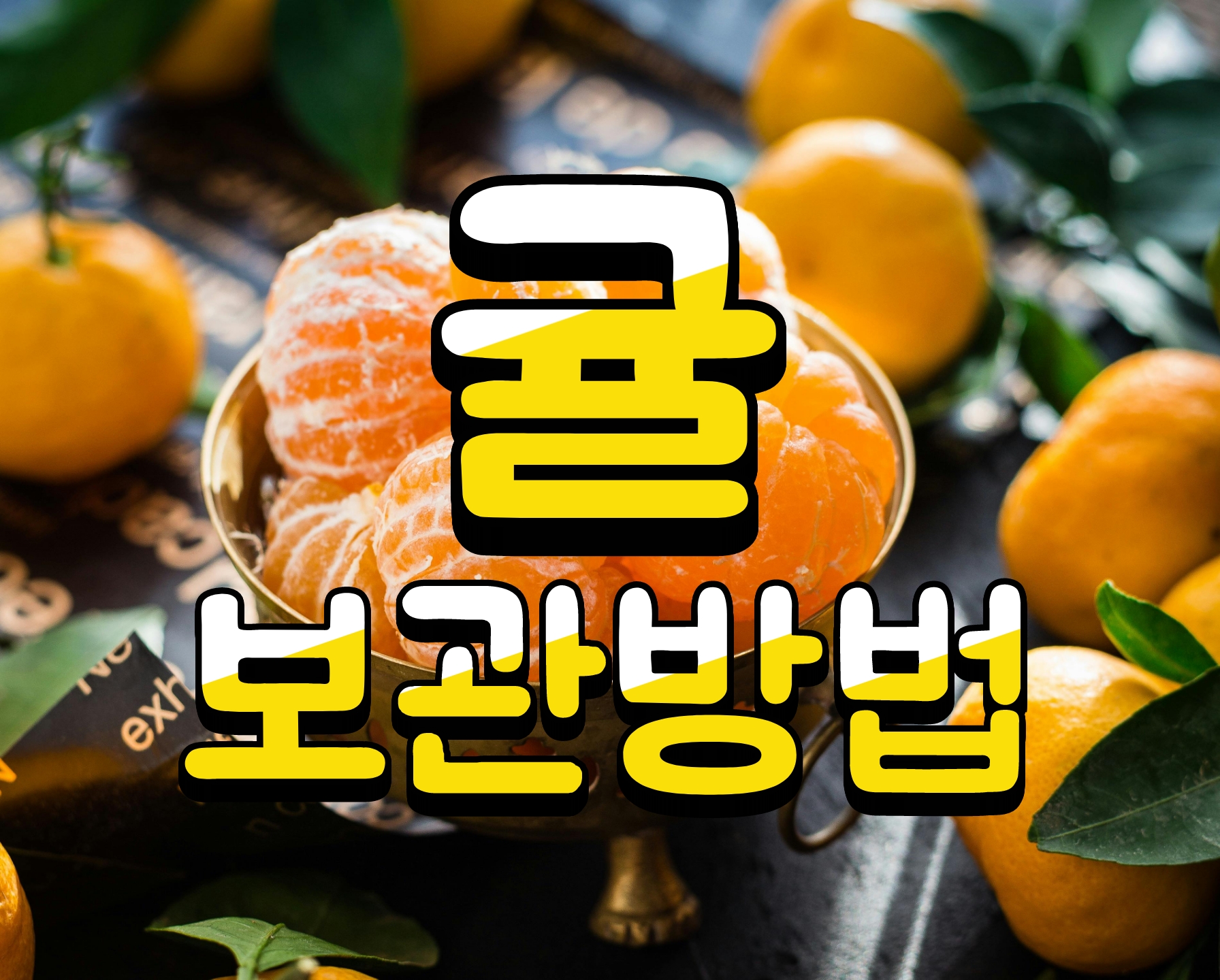 귤 오래 보관하는 방법(+귤 곰팡이 먹어도되나?)
