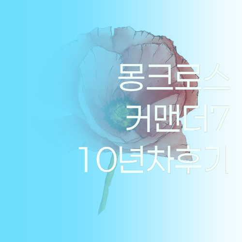 몽크로스 커맨더7 안전화 10년 차의