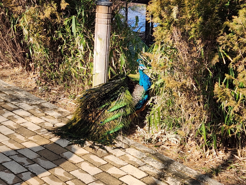 대구 네이처파크