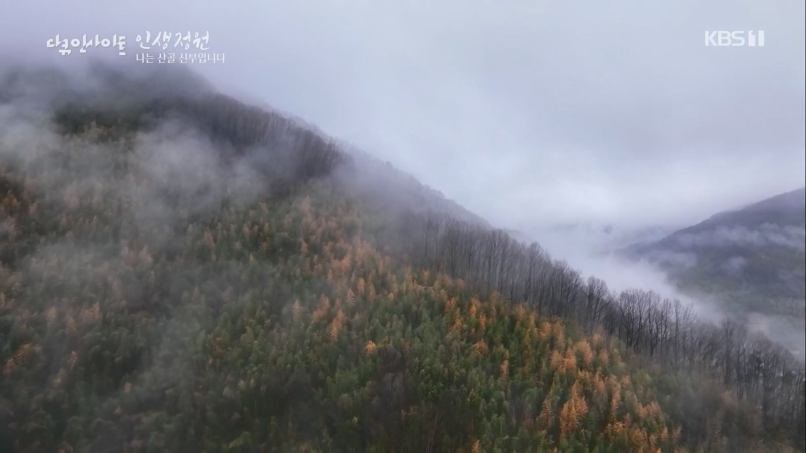다큐 인사이트.E153.230608p.H264-F1RST.mp4_20230612_204039.256.jpg