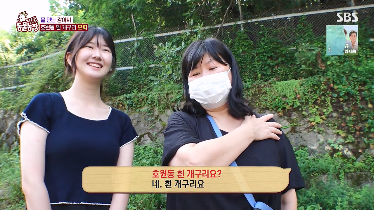 TV 동물농장.E1137.230911p-NEXT.mp4_20230910_174947.555.jpg