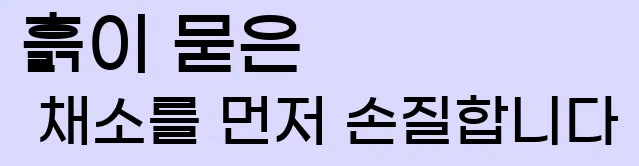  1. 흙이 묻은 채소를 먼저 손질합니다.