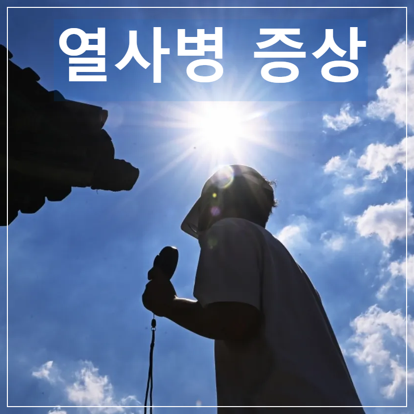 열사병 증상