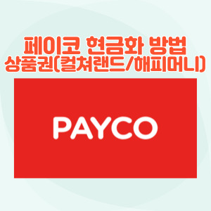 페이코-현금화-소액결제