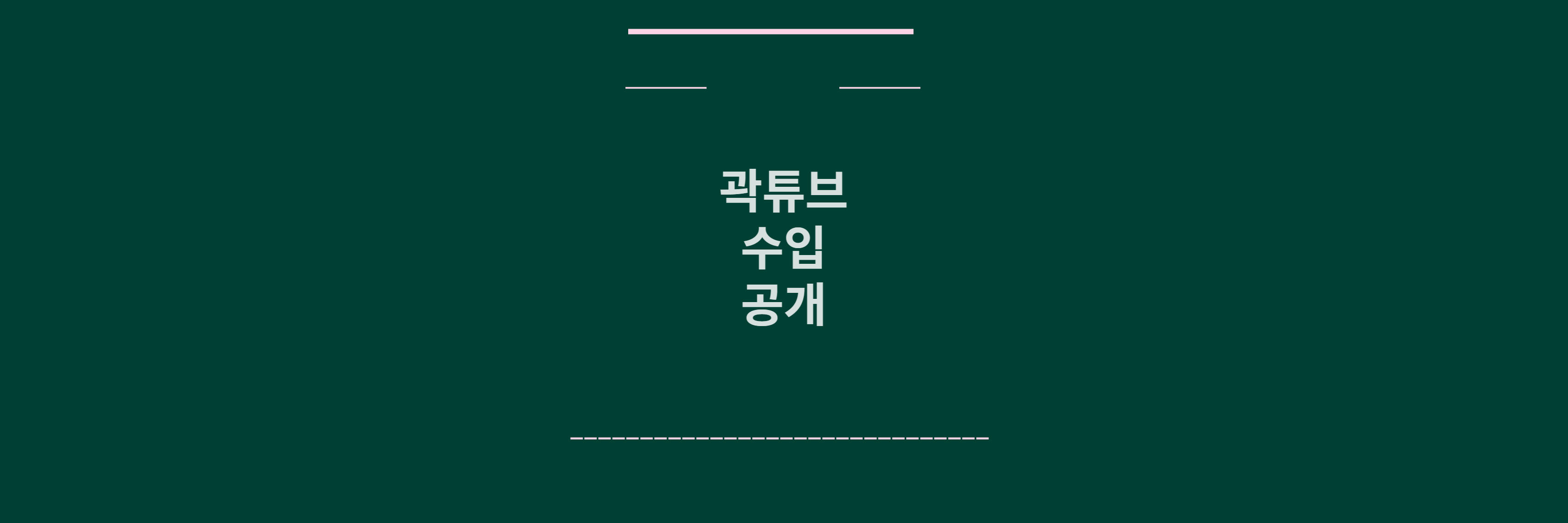 곽튜브 수입 공개