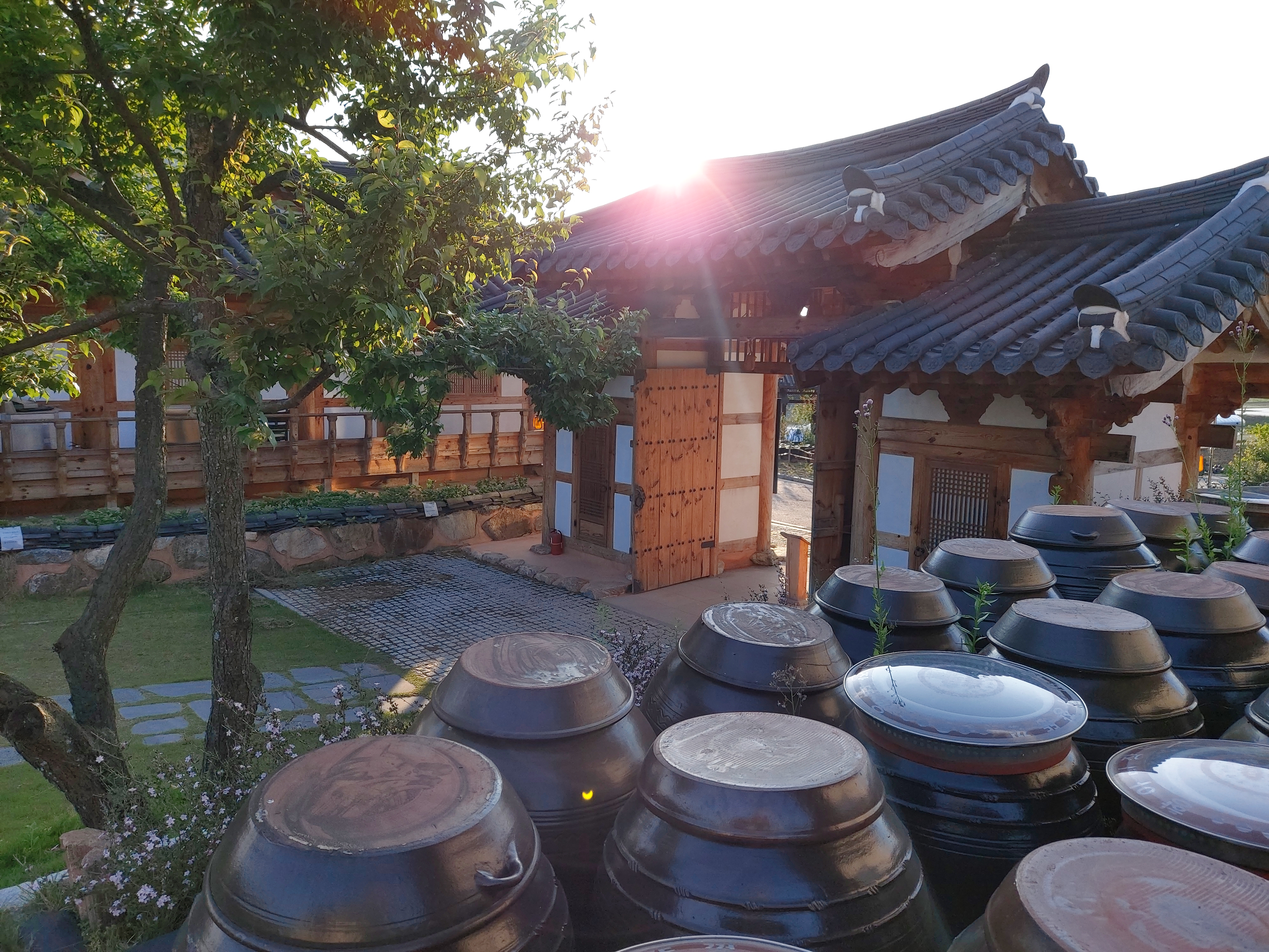  신비한 생명의 그릇 옹기의 비밀
