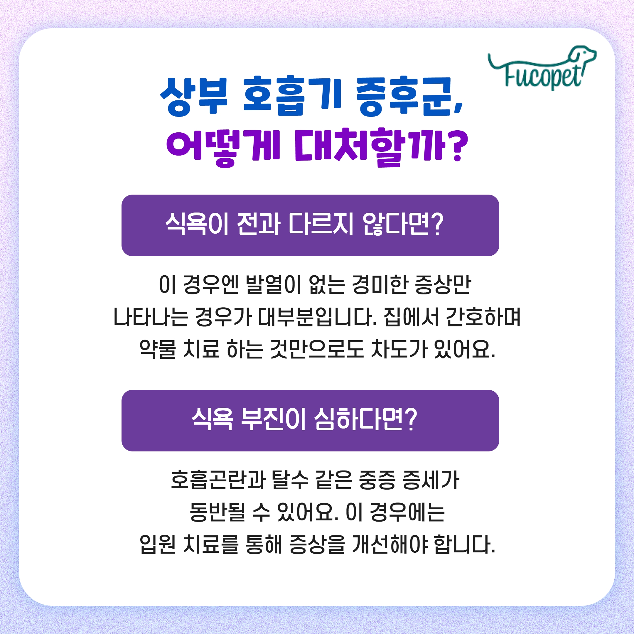 고양이 호흡 보조제/상부 호흡기 증후군/후코이단 푸코펫 4