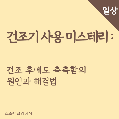 건조기 사용 미스테리 건조 후에도 축축함의 원인과 해결법