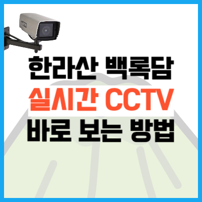 제주도 한라산 실시간 CCTV 보는 방법