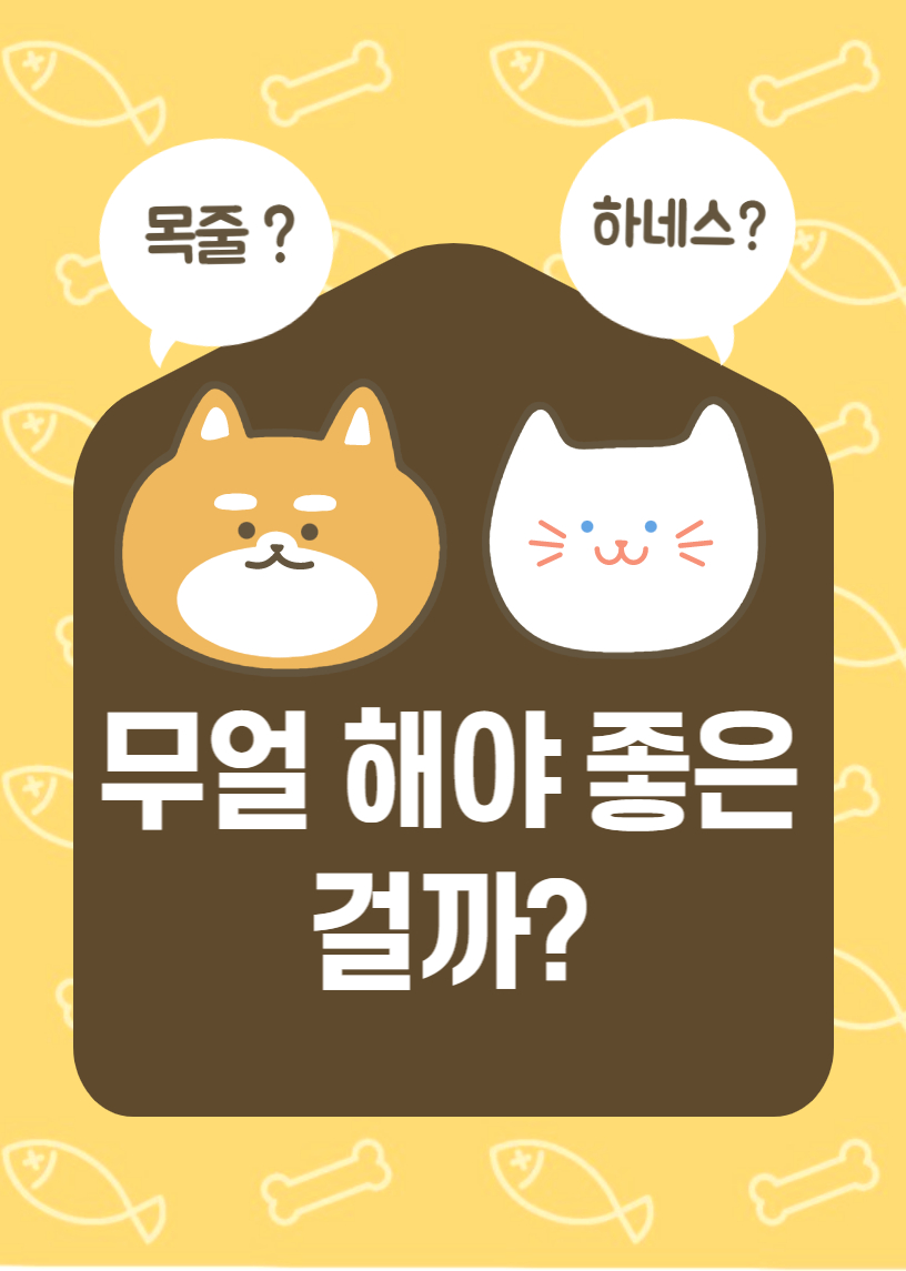  대표적인 보듬 숍의 목줄과 하네스 뭘 해야 할까?