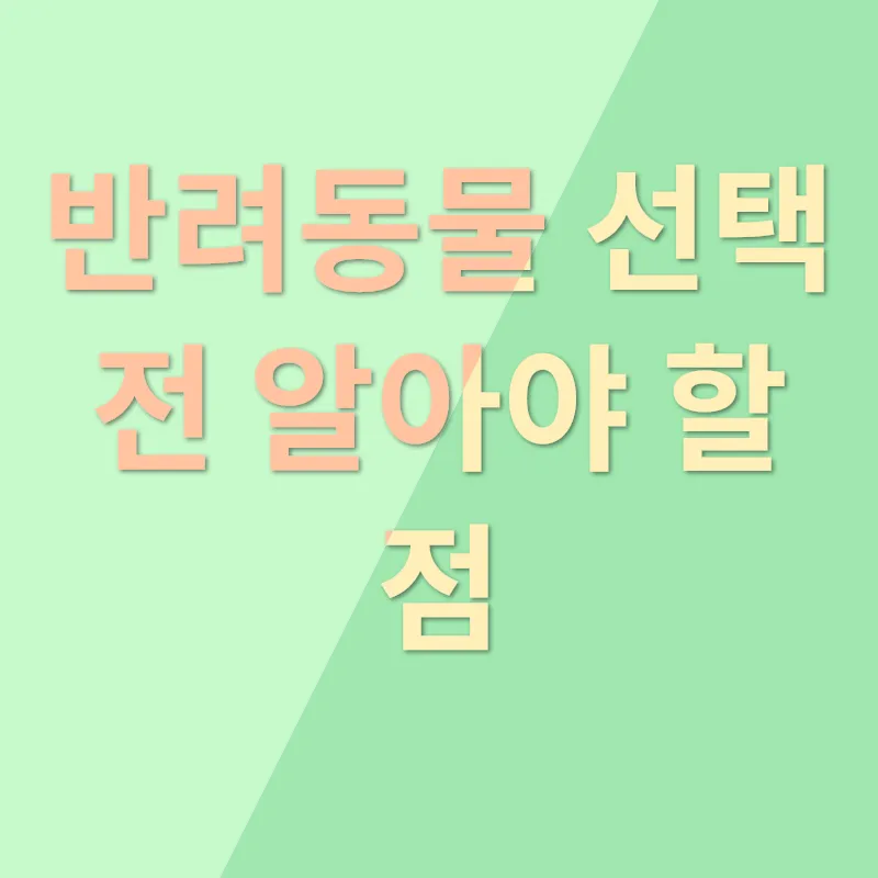 애도 장례업체 선택 기준_1_subsection