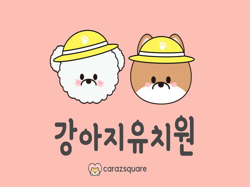 2호선 잠실나루역 애견미용 잘하는 곳 BEST4 | 추천 가게 알아보기 | 가격비교 및 후기 | 예약 방법 안내 | 반려동물 관리 꿀팁 | 총정리 - 3. 카라즈 스퀘어 강아지유치원 소개 3. 카라즈 스퀘어 강아지유치원 소개