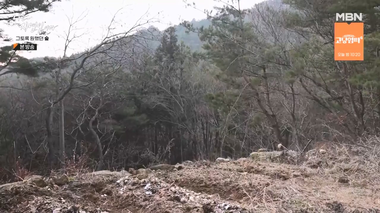 나는 자연인이다.E591.240132p-NEXT.mp4_20240201_195745.806.jpg