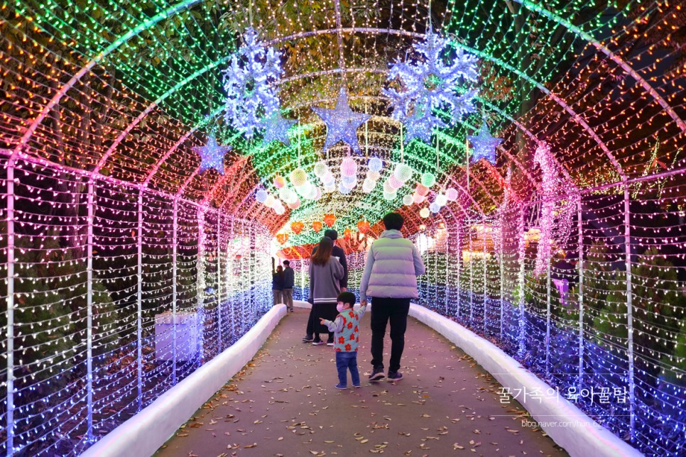 경북 축제 경북 아이와가볼만한곳 청도 32