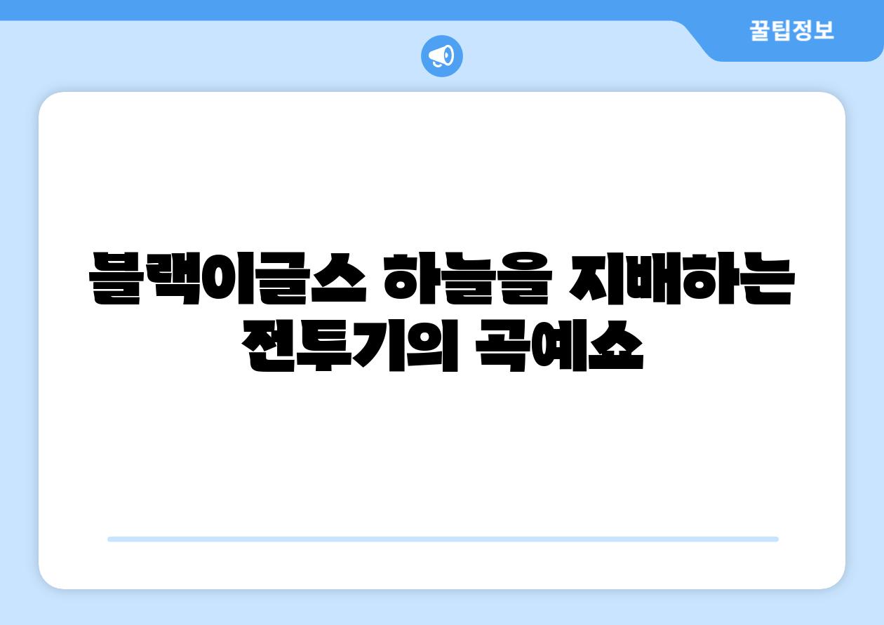 블랙이글스 하늘을 지배하는 전투기의 곡예쇼
