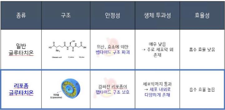 피로좀-글루타치온-효능