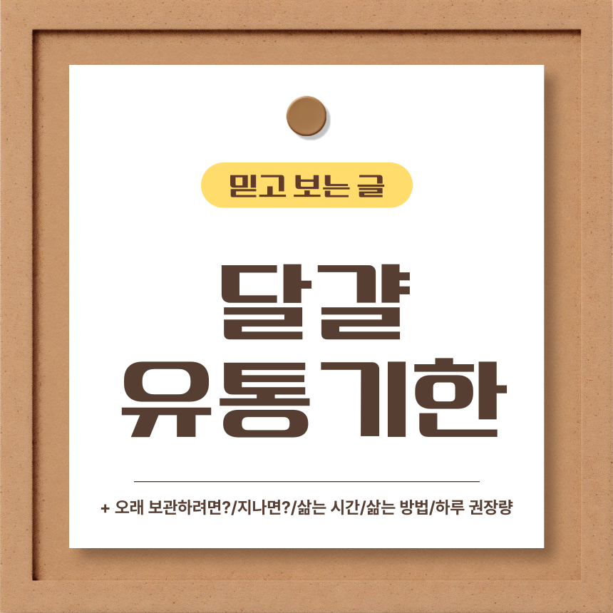  달걀 유통기한은?