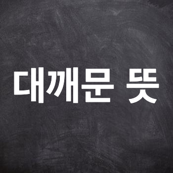  대깨문 뜻