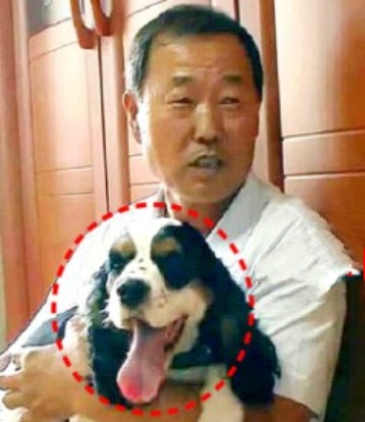 “버스 폭발 현장에서 주인 살린 강아지!…” 폭발 사고를 본능적으로 감지하고 필사적으로 주인을 구한 강아지의 ‘행동’에 모두가 입을 다물 수 없었습니다.