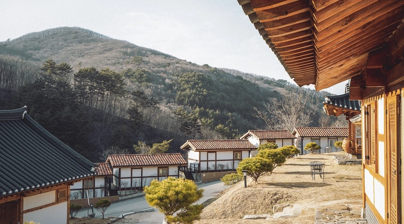 비염수술의 필요성
