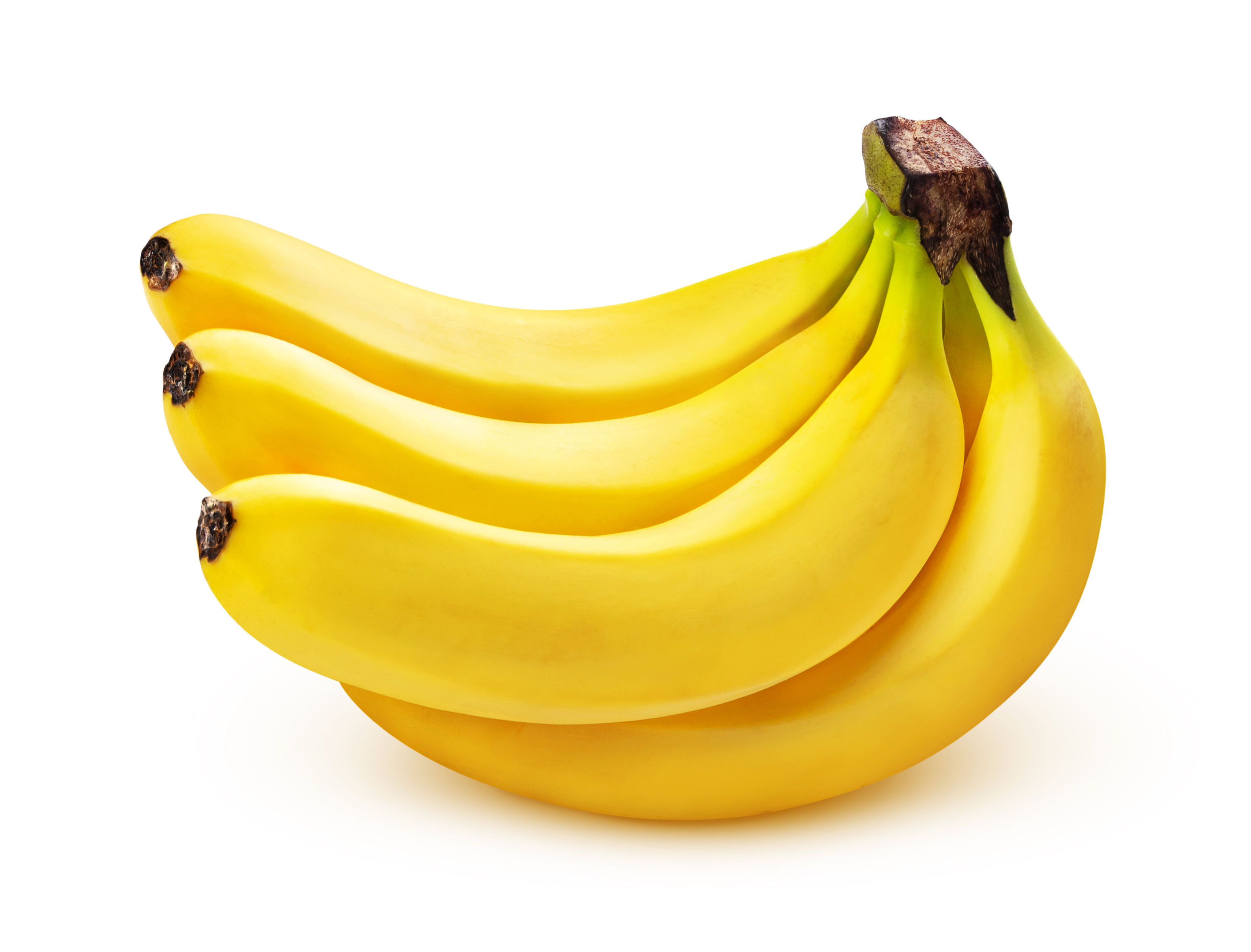 강아지 간식 바나나