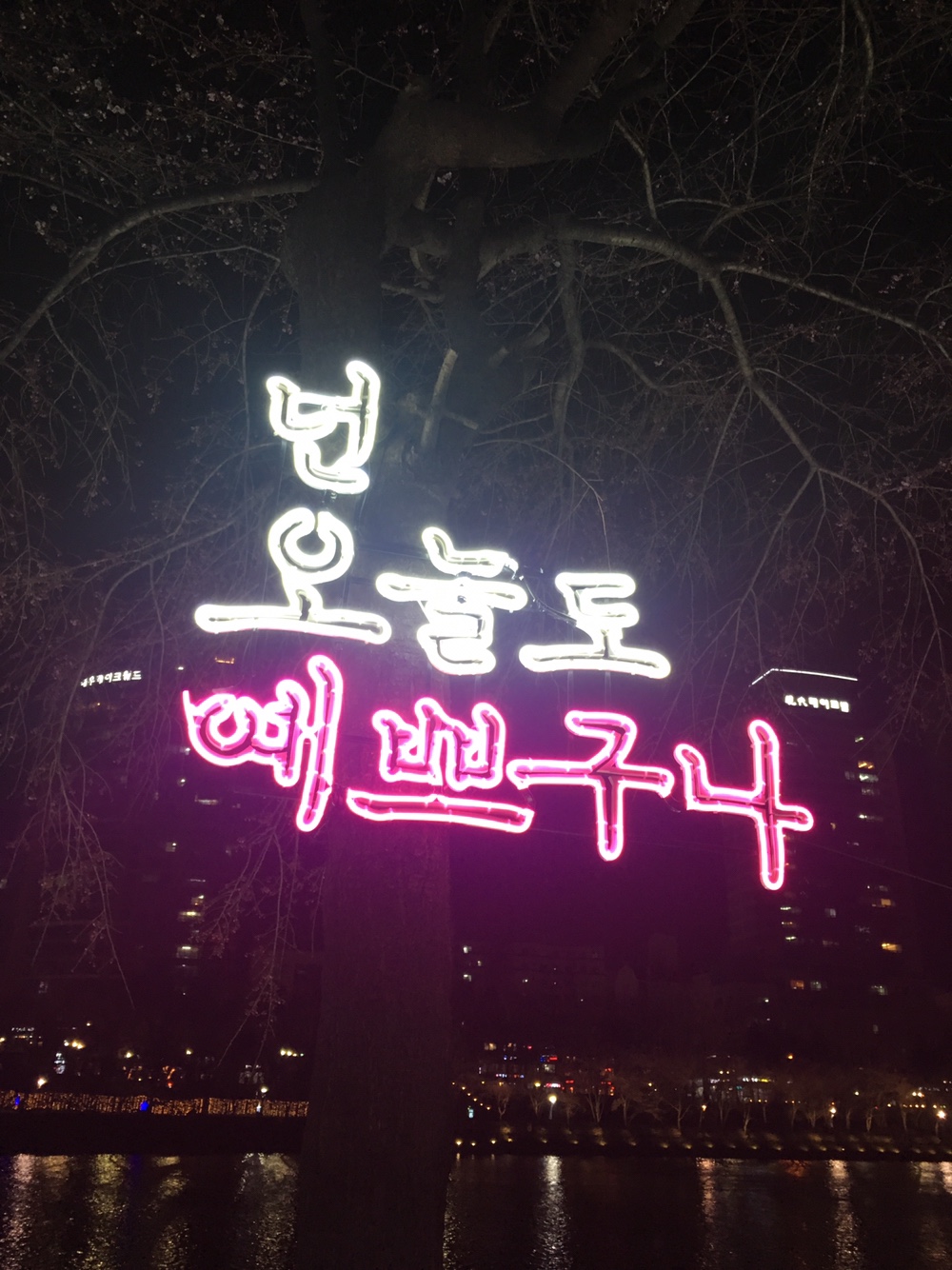  세상을 향해 타오르는 젊음의 코드