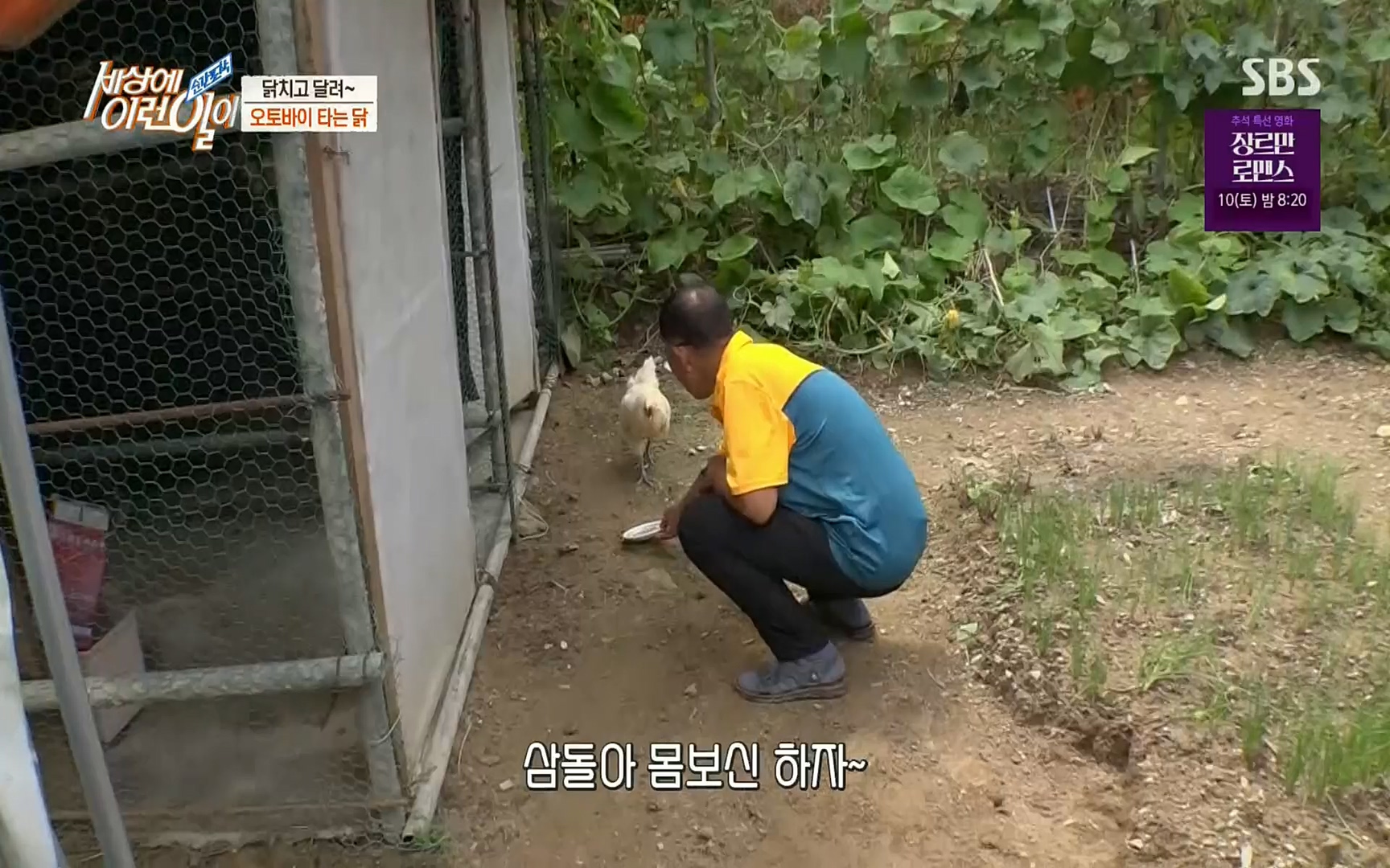 순간포착 세상에 이런일이.E1196.220906p.H264-F1RST.mp4_20220907_203324.529.jpg