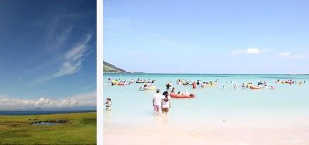 제주도 2박3일 뚜벅이 여행코스 베스트10 제주도 2박3일 뚜벅이 여행코스 베스트10