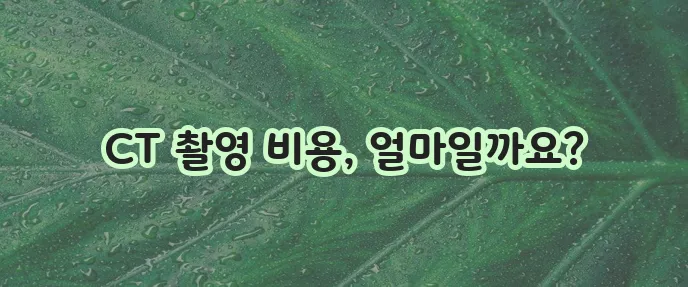 머리 복부 폐 CT 촬영 비용이 궁금하시죠!