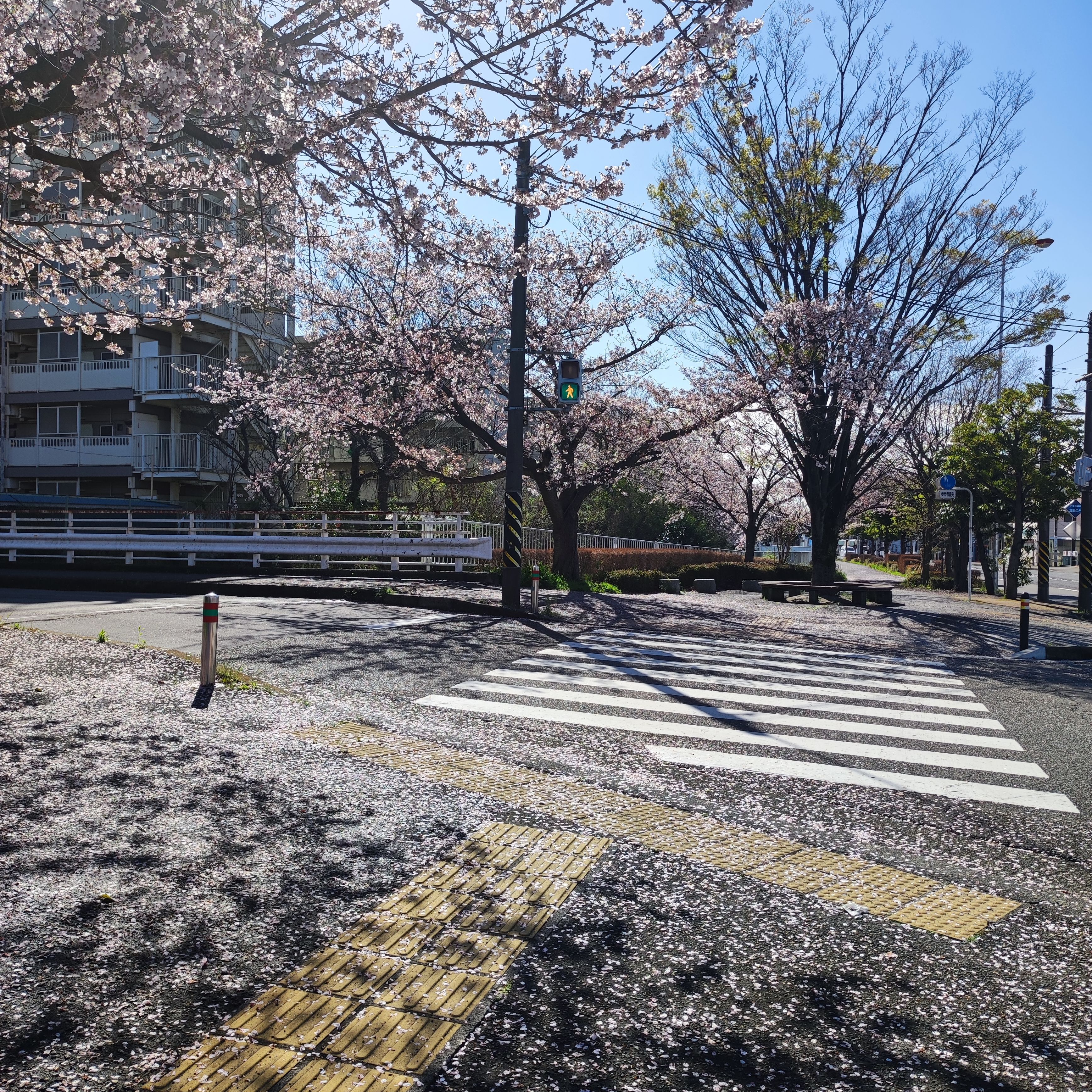  일본일상 22.04.05