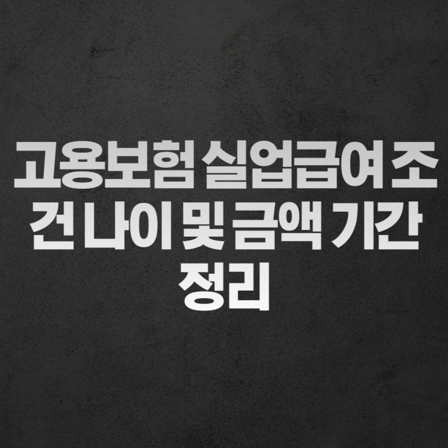 고용보험 실업급여 조건 나이 및 금액 기간 정리