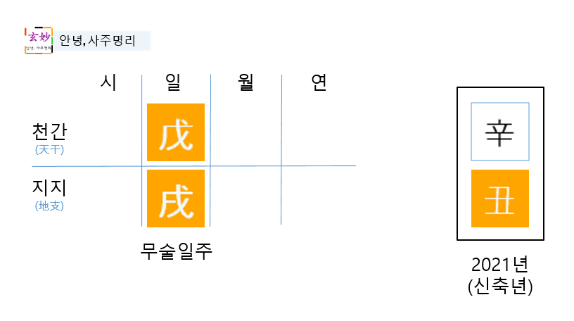 2021년 신축년 운세(무술일주) 2021년 신축년 운세(무술일주)