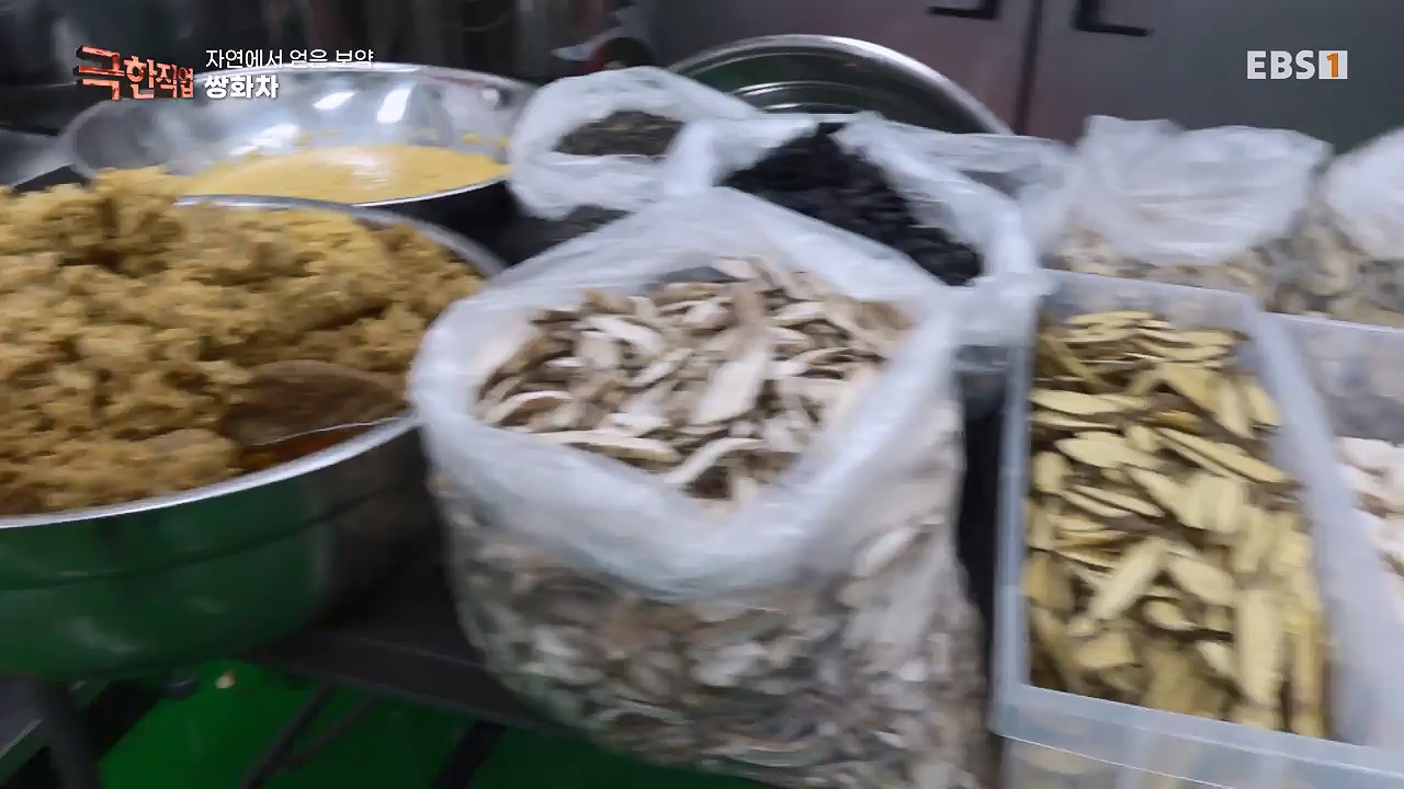 TV - 전 국민의 평생학교 EBS자연에서 얻은 보약, 상황버섯과 산나물, 쌍화차.mp4_20240615_172255.642.jpg