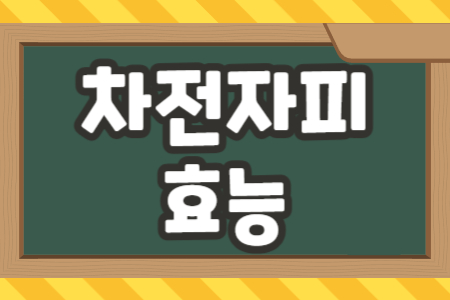 차전자피 효능