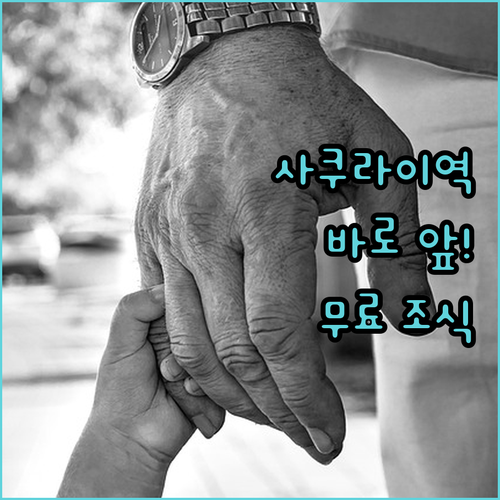 호텔 루트 인 사쿠라이 에키마에, 사