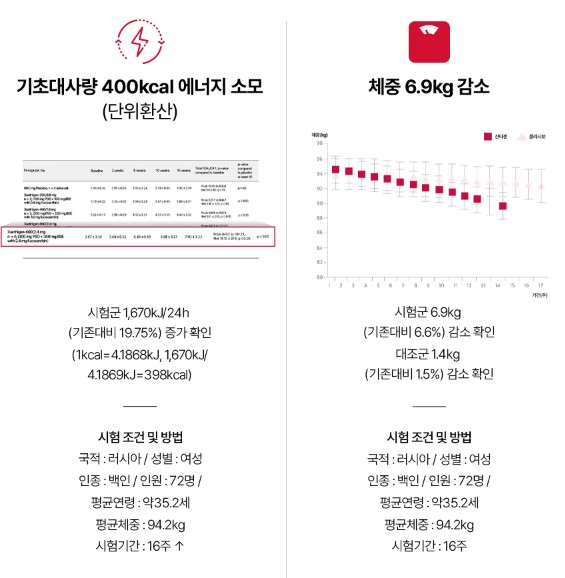 버닝올로지 디데이