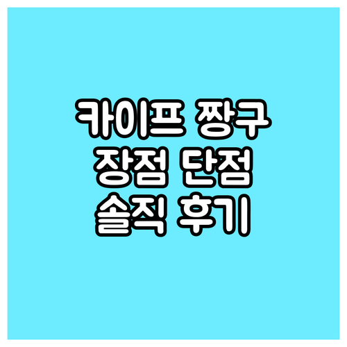 카이프 짱구 휴대용 카시트 장점 단점