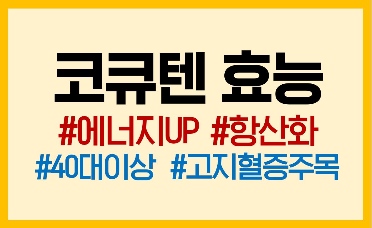  코큐텐 효능 40대 고지혈증 환자가 꼭 먹어야 하는 이유
