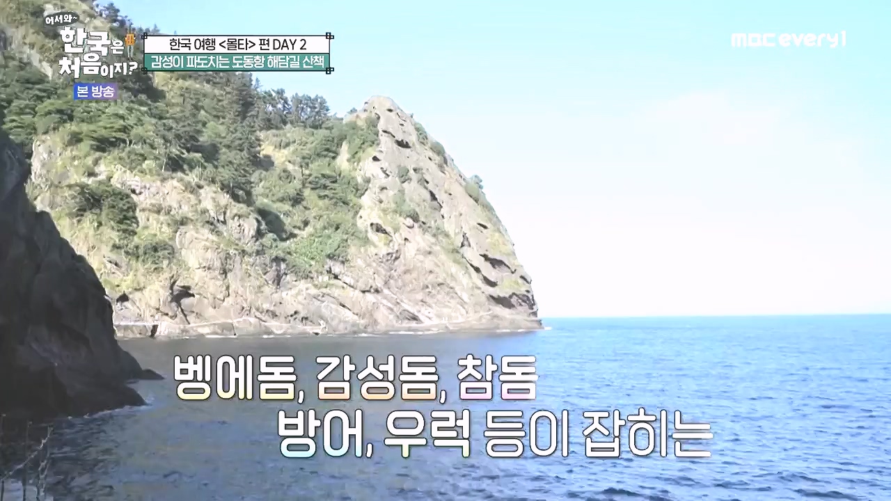 어서와 한국은 처음이지 시즌2.E326.240809p-NEXT.mp4_20240809_202020.365.jpg